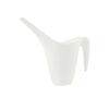 Plant Watering Can - for Home Garden