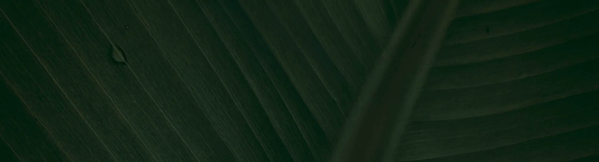 Decorative Lightweight Small Indoor Watering Cans