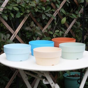 Simple Plastic Plant Pot Succulent Pot