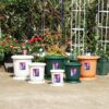 Gallon Plastic Flower Pot Thick Resin Chinese Planter for Indoor/Outdoor Plants