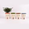 Automatic Watering Plant Pot