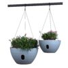 Dual-pots Design Hanging Planters Self-Watering Garden Plant Pots Indoor Outdoor Flower Hanging Baskets with Drainer and Hanging Chain, 2 Size Assorted