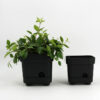 Automatic Watering Flowerpot
