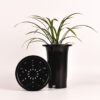 Flexible Plant Nursery Pots, Deep Plant Pot with Drainage Holes Plastic Planter for Greenhouse, Garden,