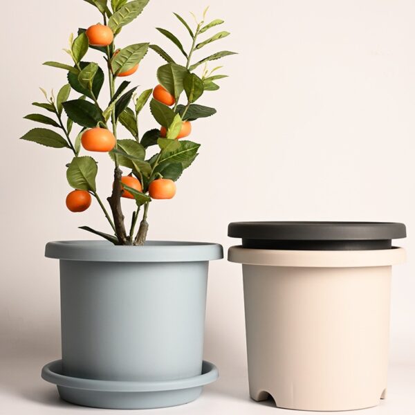 Flowers Pot Colorful Planting Pot Planters with Drainage Holes and Tray for Orchids, Gladiolus, Cacti, Cactus, Aloe, Strawberry