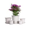 Flowers Pot Colorful Planting Pot Planters with Drainage Holes and Tray for Orchids, Gladiolus, Cacti, Cactus, Aloe, Strawberry