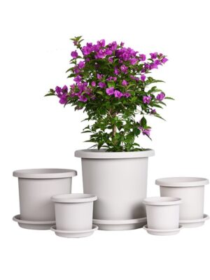Flowers Pot Colorful Planting Pot Planters with Drainage Holes and Tray for Orchids, Gladiolus, Cacti, Cactus, Aloe, Strawberry