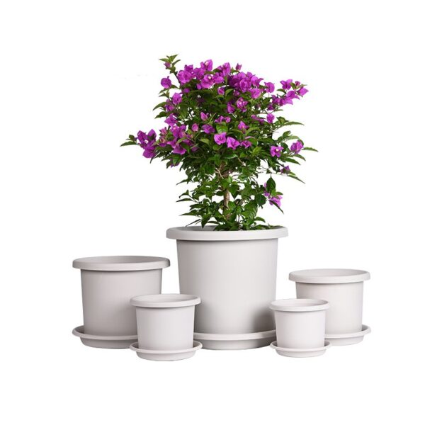 Flowers Pot Colorful Planting Pot Planters with Drainage Holes and Tray for Orchids, Gladiolus, Cacti, Cactus, Aloe, Strawberry