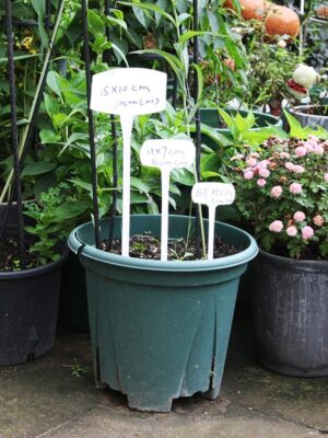 Durable Extra Thick T-Style Plastic Plant Labels Nursery Garden Labels Pot Plant Marker Garden Stake Tags