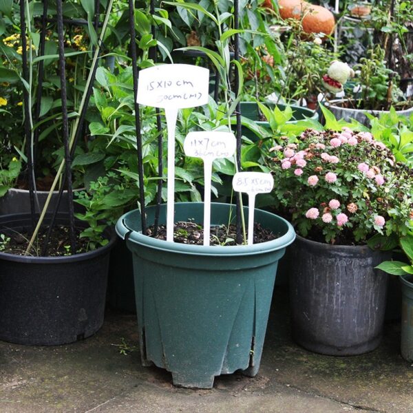 Durable Extra Thick T-Style Plastic Plant Labels Nursery Garden Labels Pot Plant Marker Garden Stake Tags