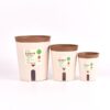 Automatic Watering Plant Pot