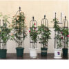 Garden Trellis, Plant Cages & Supports for Vines Crop, Potted/Climbing Plants Indoor Outdoor, Plant Stake for Flower, Vegetable, Tomato, Pot Trellis