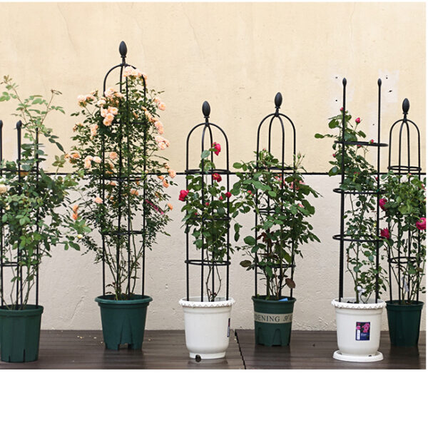Garden Trellis, Plant Cages & Supports for Vines Crop, Potted/Climbing Plants Indoor Outdoor, Plant Stake for Flower, Vegetable, Tomato, Pot Trellis