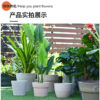 Terracotta-like Succulent Plastic Planter Pots Round Clay Pots with Drainage for Indoor Plants