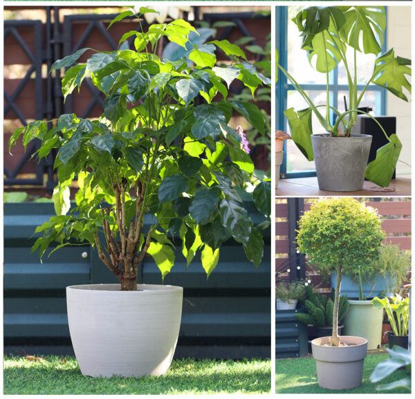 Terracotta-like Succulent Plastic Planter Pots Round Clay Pots with Drainage for Indoor Plants