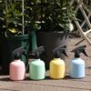Portable Plant Spray Bottle