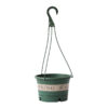 Chlorophytum Pot