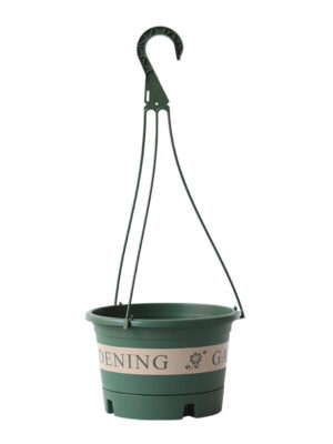 Chlorophytum Pot