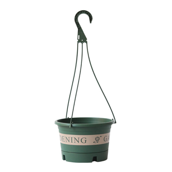 Chlorophytum Pot
