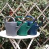 Vintage Indoor Watering Can