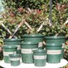 Plastic Planters for Indoor Plants with Drainage Hole and Tray, Flower Nursery Pot Indoor Plant pots for Patio Garden Home Office Flowers Succulents