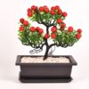 1 Plastic Zisha-Look Planter