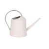 1 Metal-Look Watering Can