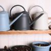 1 Metal-Look Watering Can