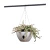 4 Hanging Planter 2