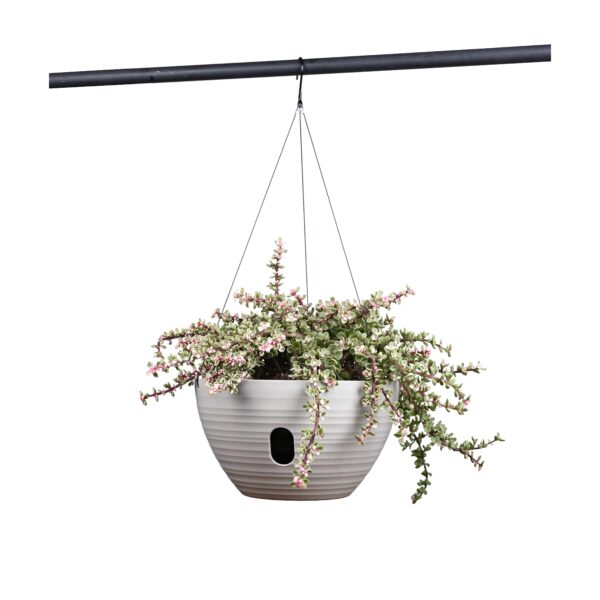 4 Hanging Planter 2