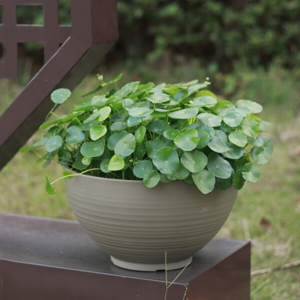 6 Stone-Look Planter