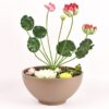 BOWL POTS Stone-Look Planter