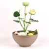 BOWL POTS 2 Stone-Look Planter