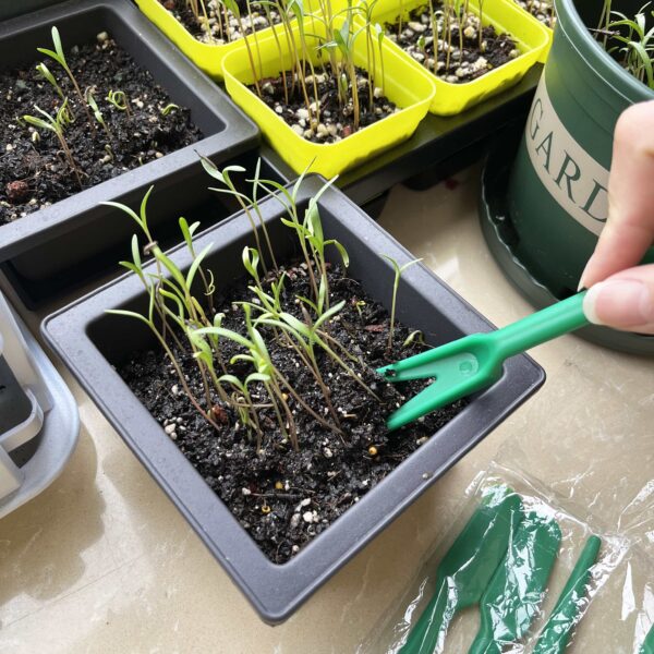Seedling Lifter