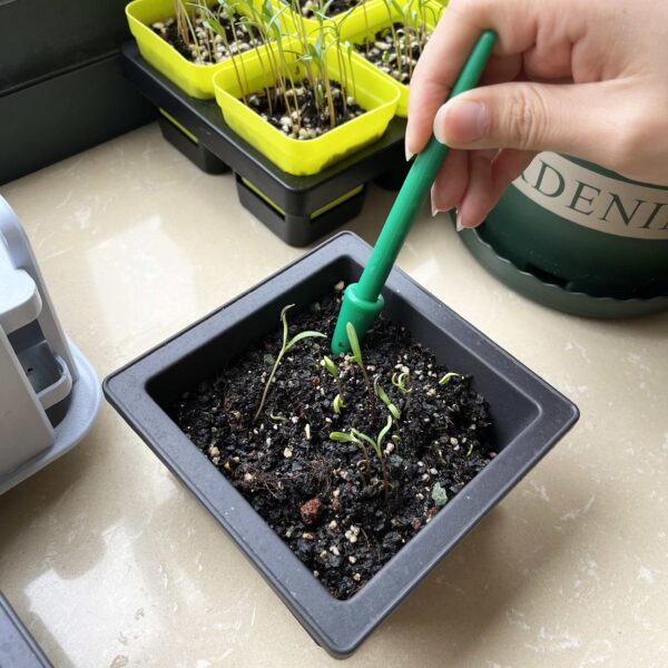 Seedling Lifter