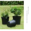 Side Hole Pot