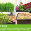 Sprouting Tray