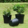 Side Hole Pot