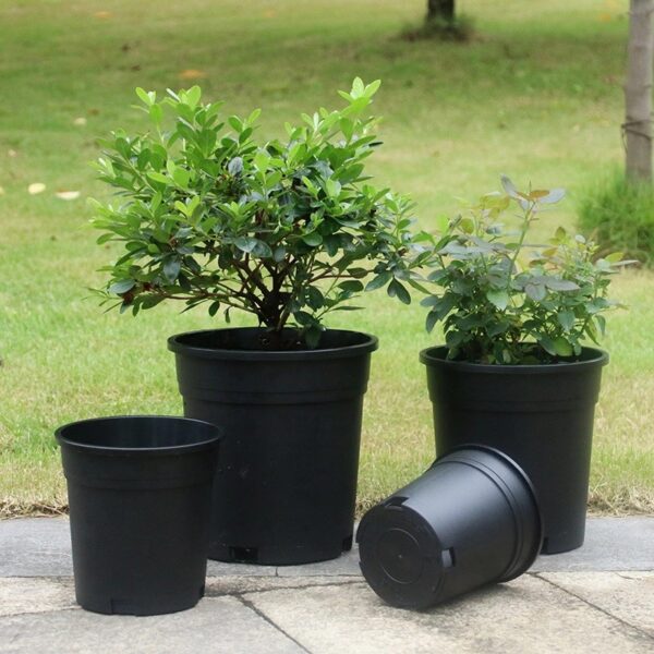 Side Hole Pot